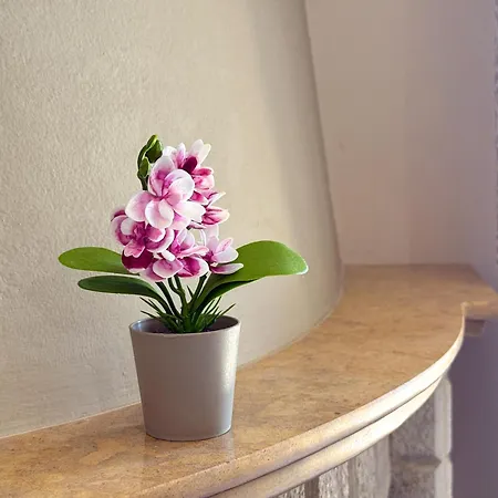 Aparthotel Nikolas Límni